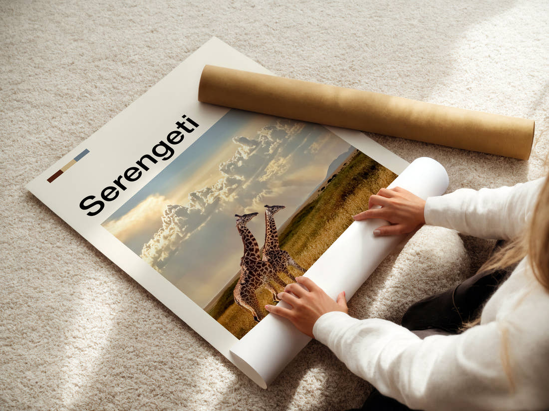 Serengeti Giraffe On The Plains Travel Print being unrolled from its postal tube