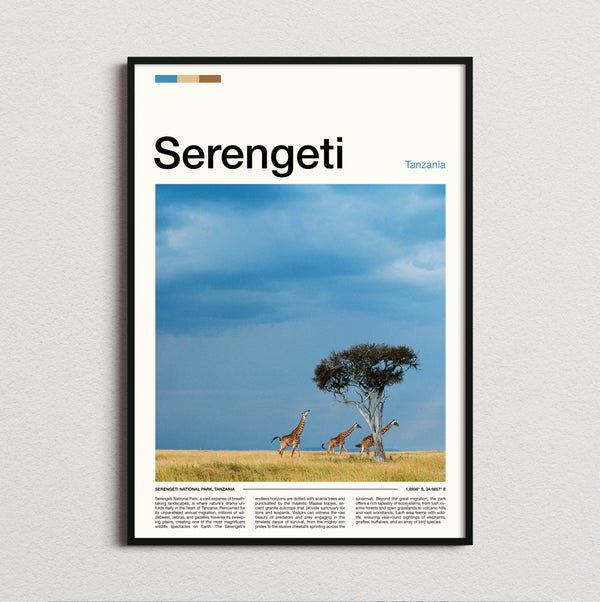 Serengeti - Giraffes And Acacia Tree - Travel Print