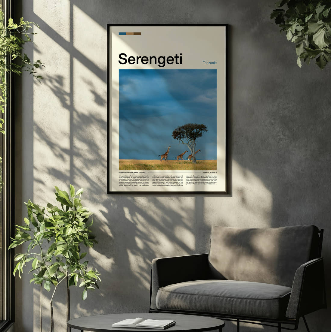 Serengeti Giraffes And Acacia Tree Travel Print framed on the wall of a relaxed living room