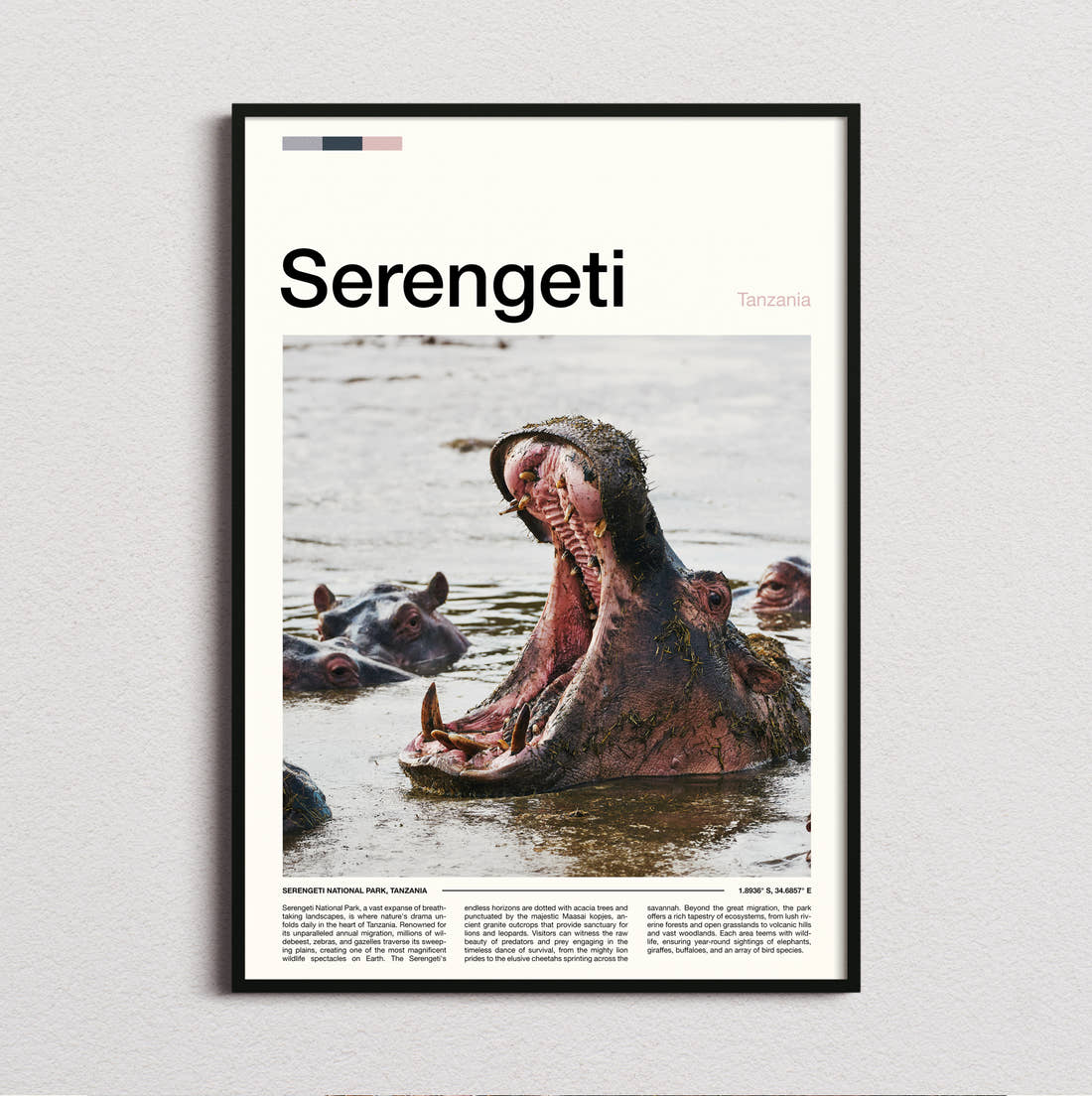 Serengeti Hippo Yawning Travel Print framed and photographed straight on