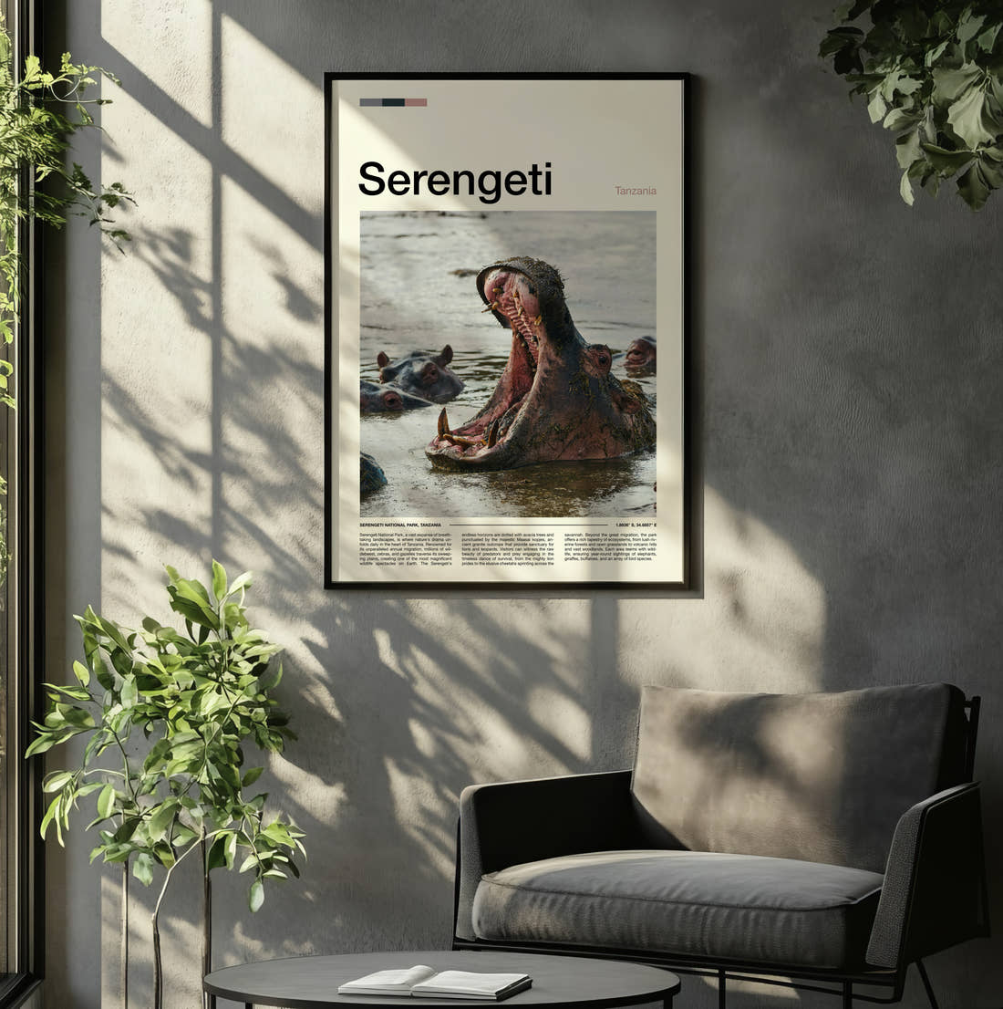 Serengeti Hippo Yawning Travel Print framed on the wall of a relaxed living room