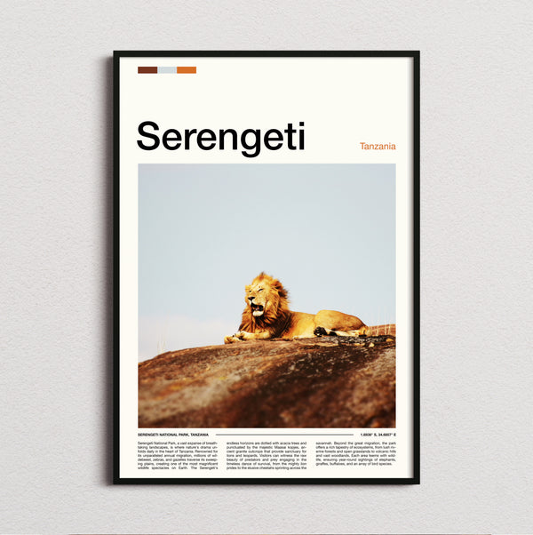 Serengeti - Lion Resting - Travel Print