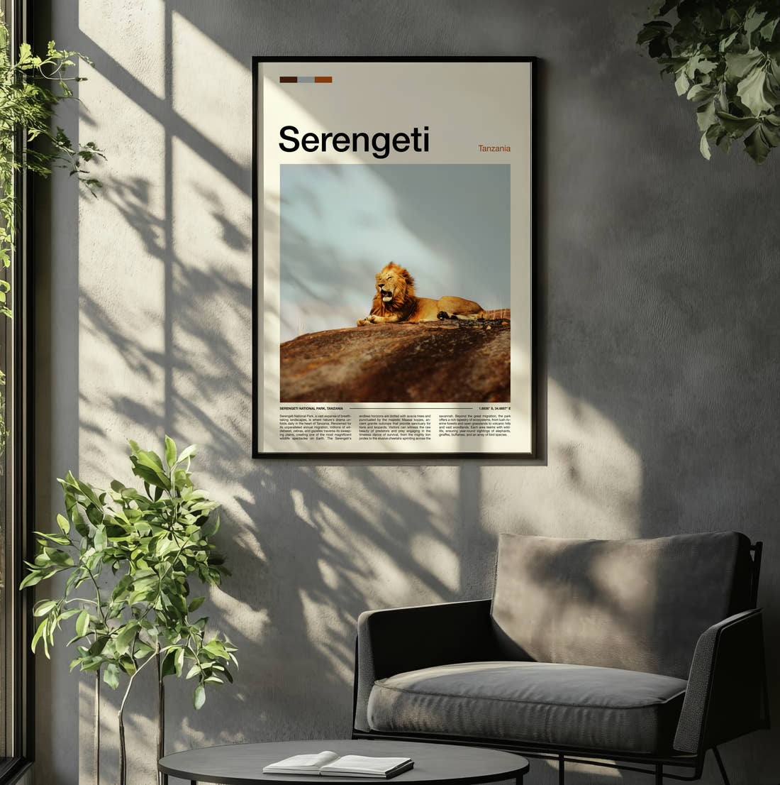 Serengeti Lion Resting Travel Print framed on the wall of a relaxed living room