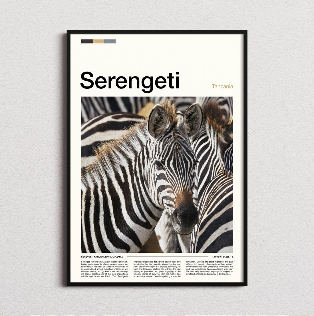 Serengeti Zebras Travel Print framed and photographed straight on