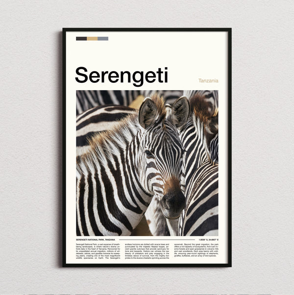 Serengeti - Zebras - Travel Print