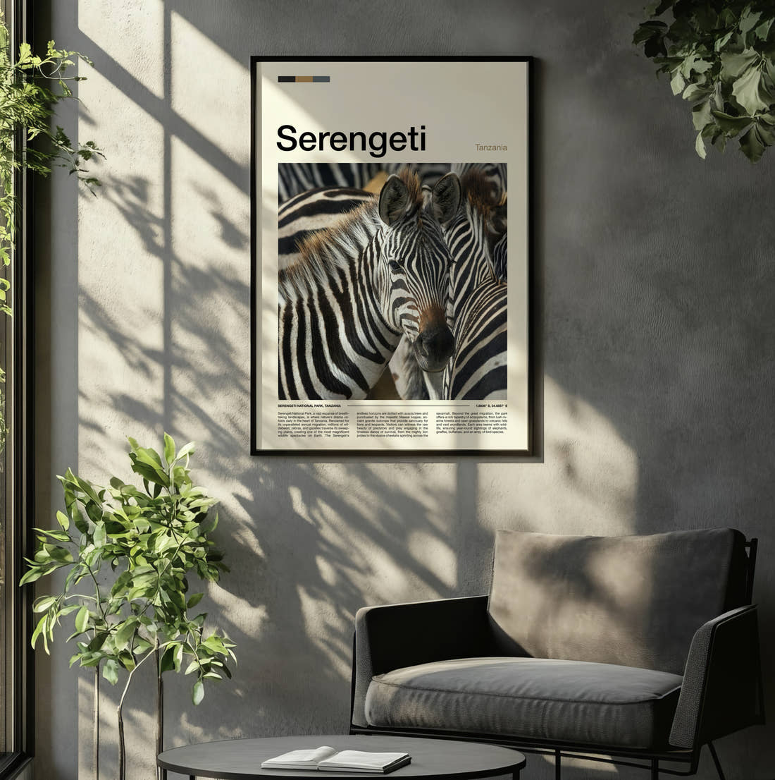 Serengeti Zebras Travel Print framed on the wall of a relaxed living room