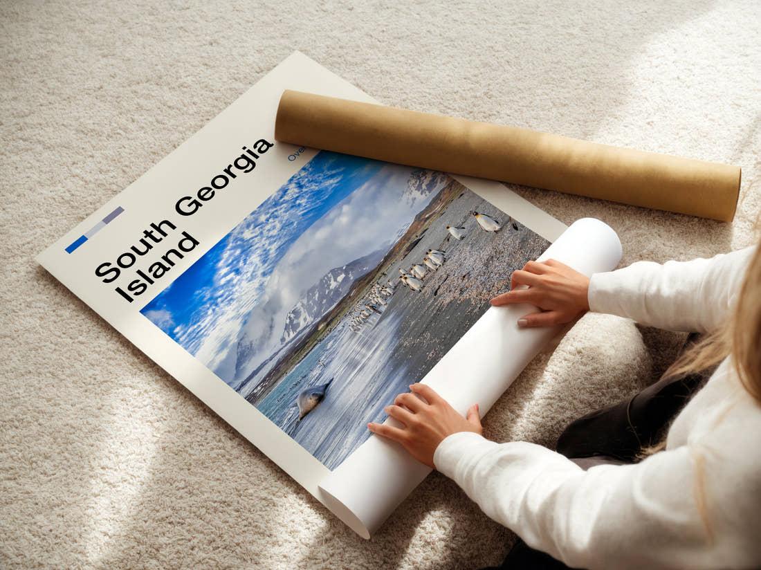 South Georgia Penguins On The Beach Travel Print being unrolled from its postal tube