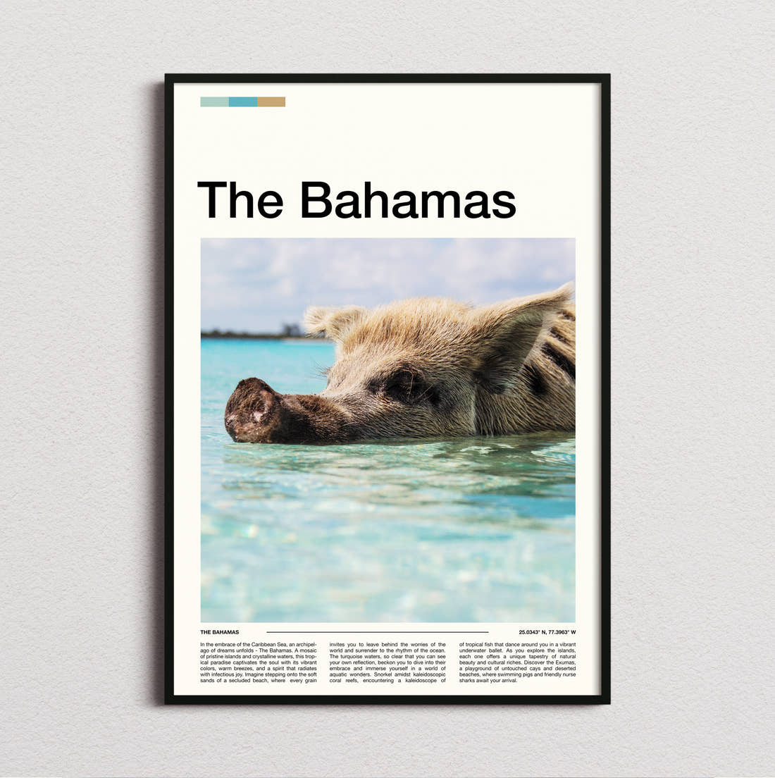 The Bahamas Swimming Pig In Turquoise Water Travel Print framed and photographed straight on