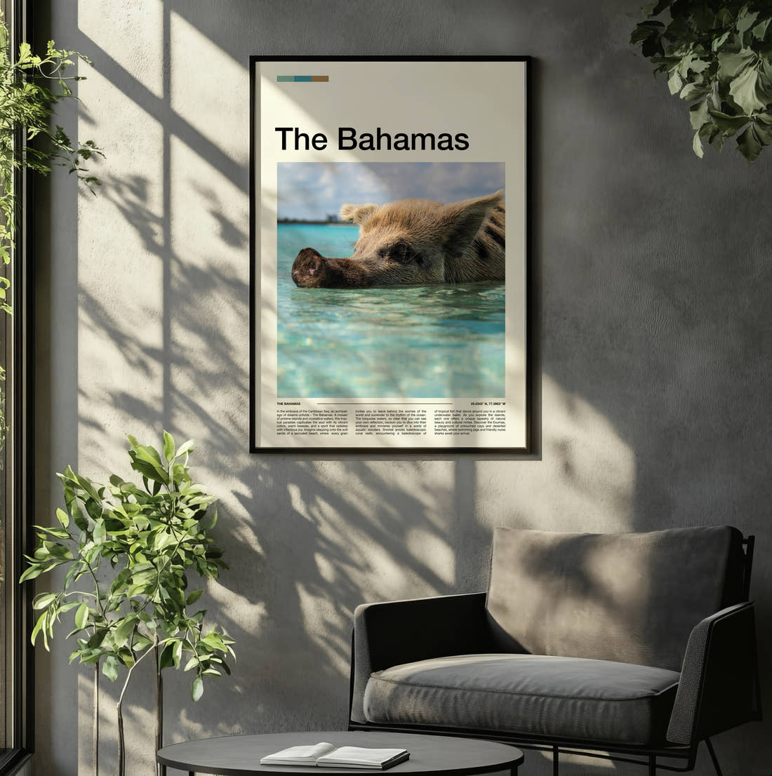 The Bahamas Swimming Pig In Turquoise Water Travel Print framed on the wall of a relaxed living room