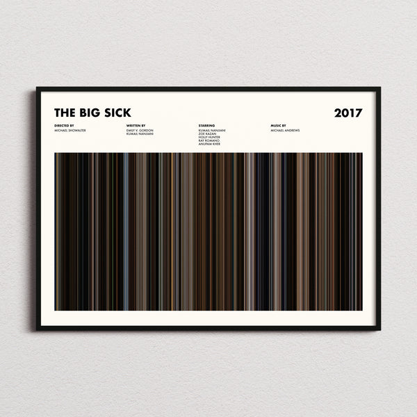 The Big Sick Movie Barcode Poster framed and photographed straight on