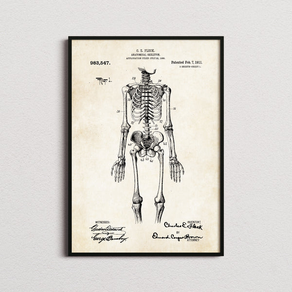Anatomical Skeleton Patent Print