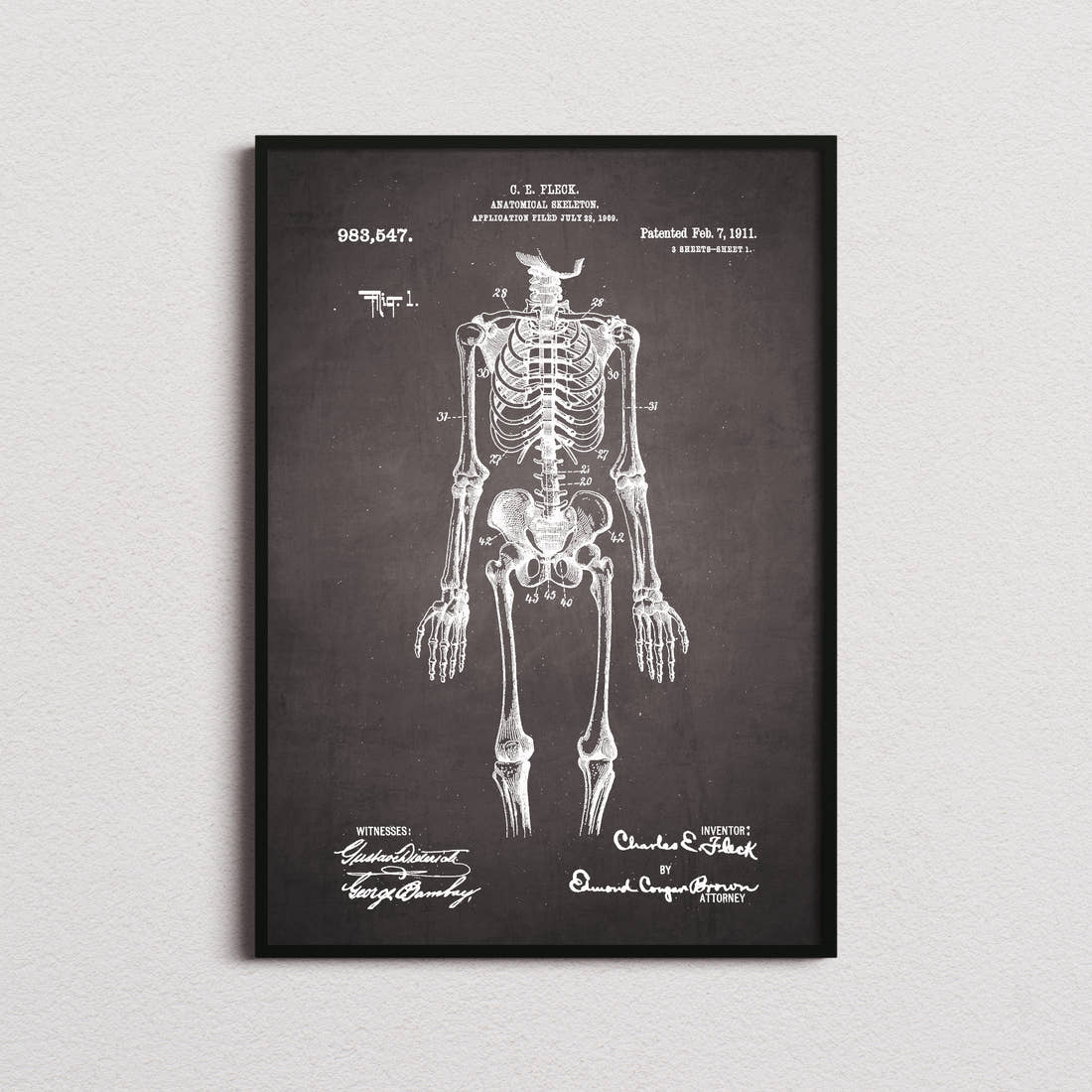 Anatomical Skeleton Patent Print in the blackboard colourway, framed