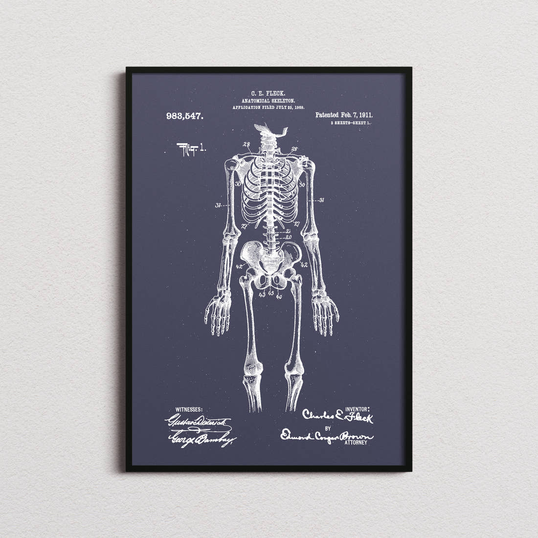 Anatomical Skeleton Patent Print in the navy colourway, framed