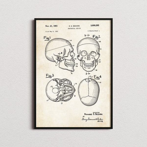 Anatomical Skull Patent Print