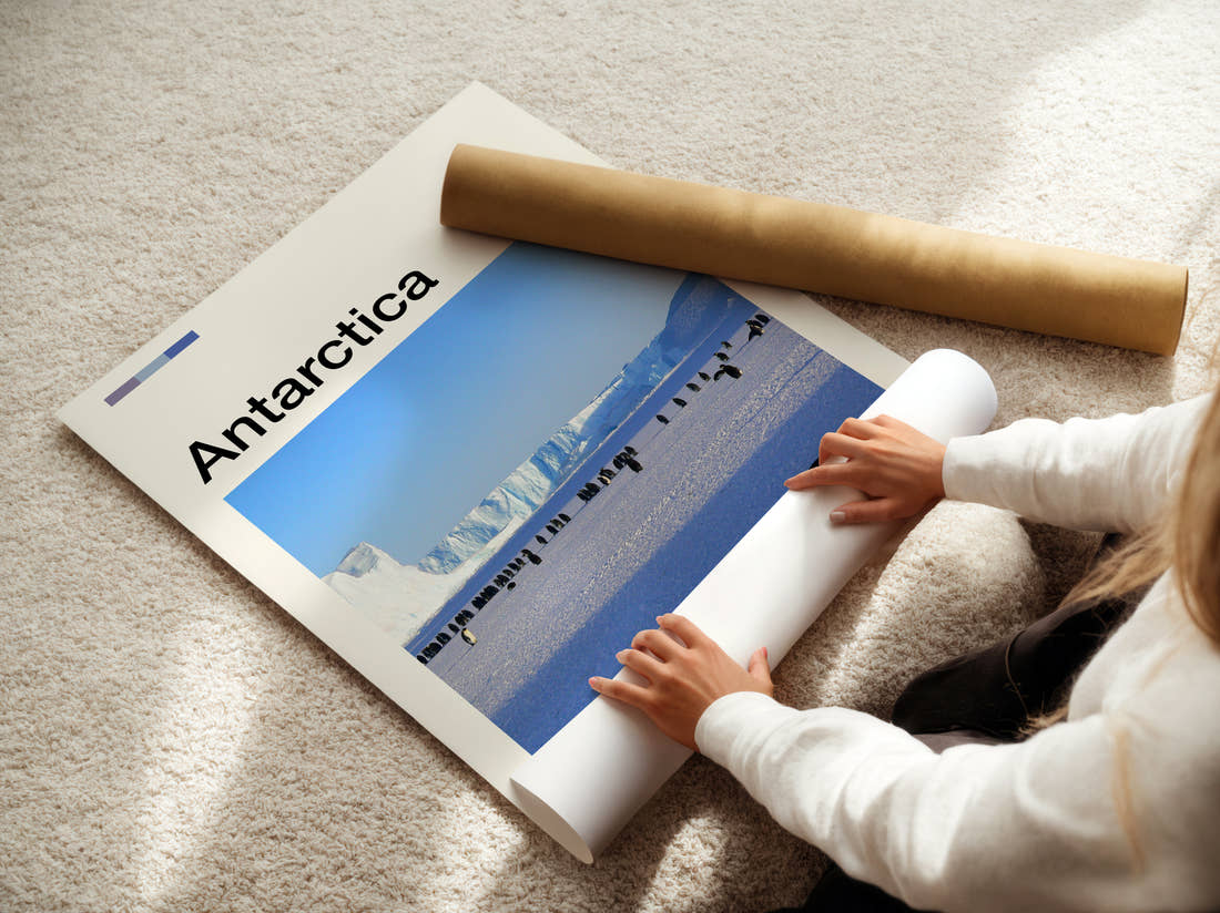 Antarctica Penguins On The Ice Travel Print being unrolled from its postal tube