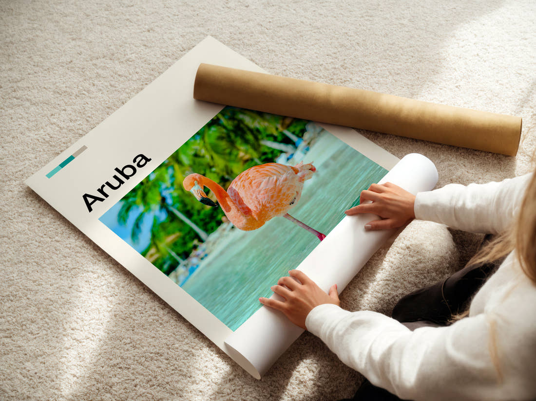 Aruba Flamingo Travel Print being unrolled from its postal tube