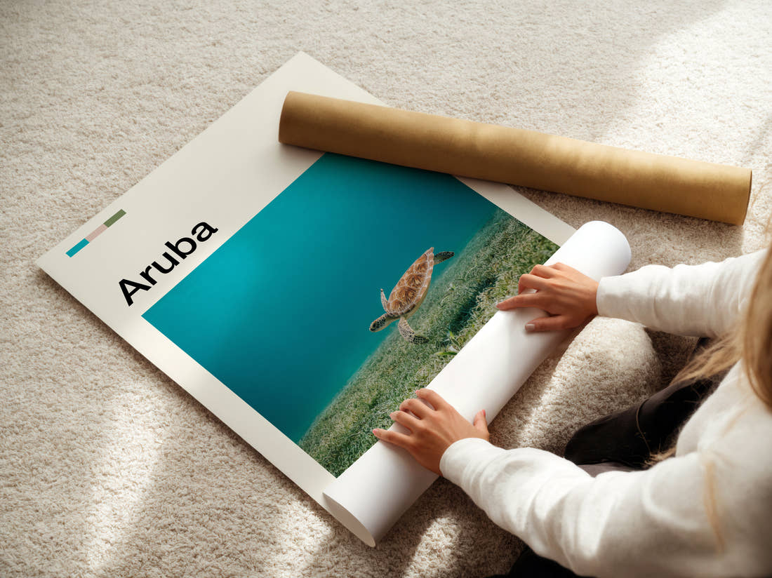 Aruba Sea Turtle Travel Print being unrolled from its postal tube
