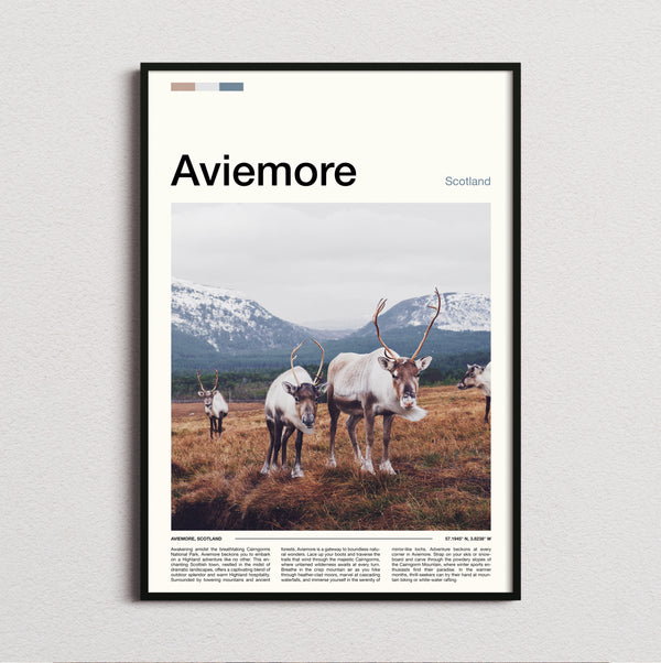 Aviemore - Reindeer - Travel Print