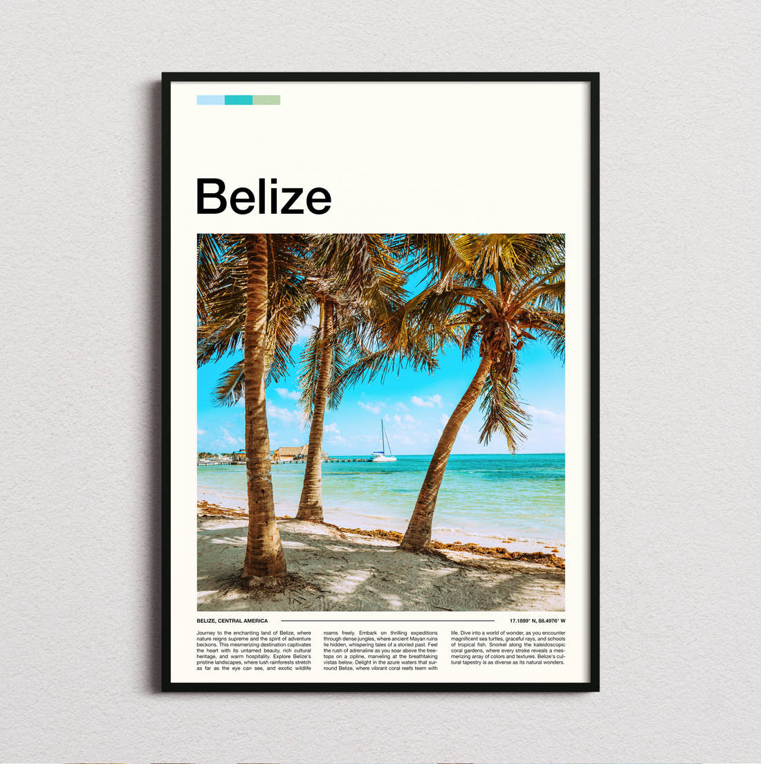 Belize Palms Over White Sand Travel Print framed and photographed straight on