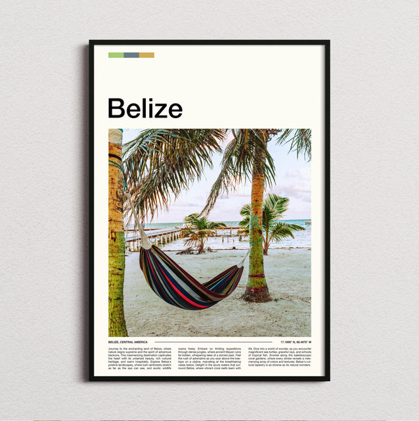 Belize - Hammock Between Palm Trees - Travel Print
