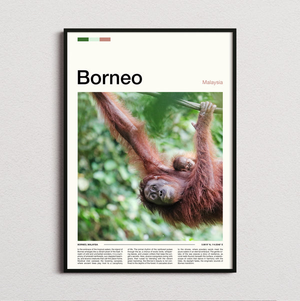 Borneo - Orangutan - Travel Print