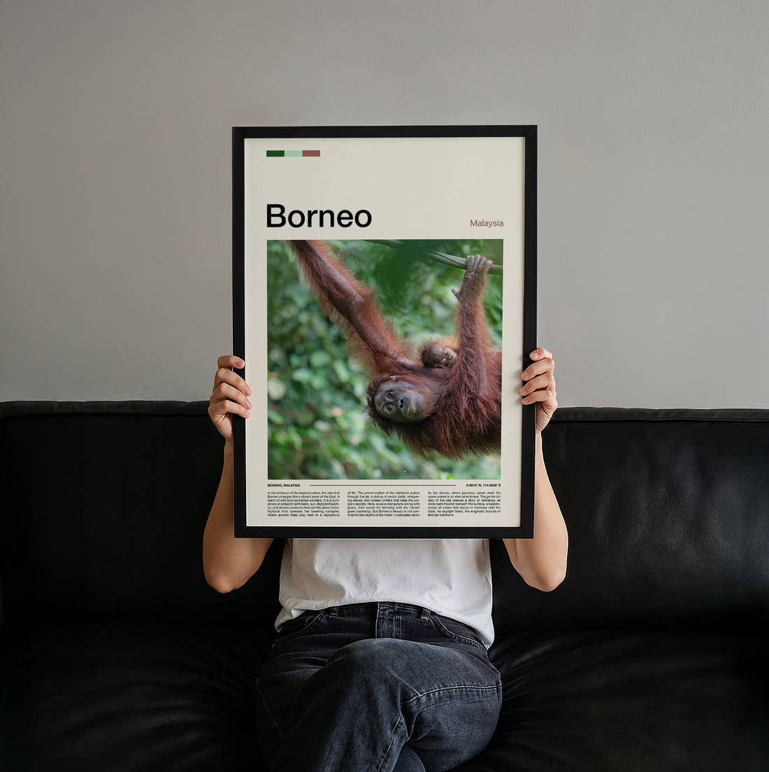 Borneo Orangutan Travel Print held up by hand to show the size of the print