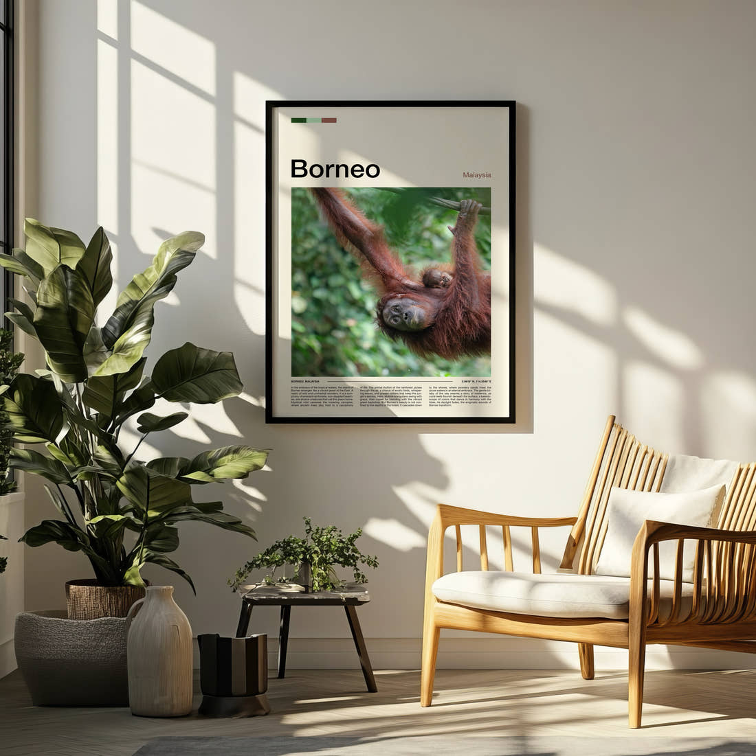 Borneo Orangutan Travel Print framed on a pale wall beside houseplants