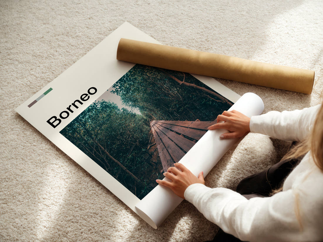 Borneo Boardwalk Through Jungle Travel Print being unrolled from its postal tube