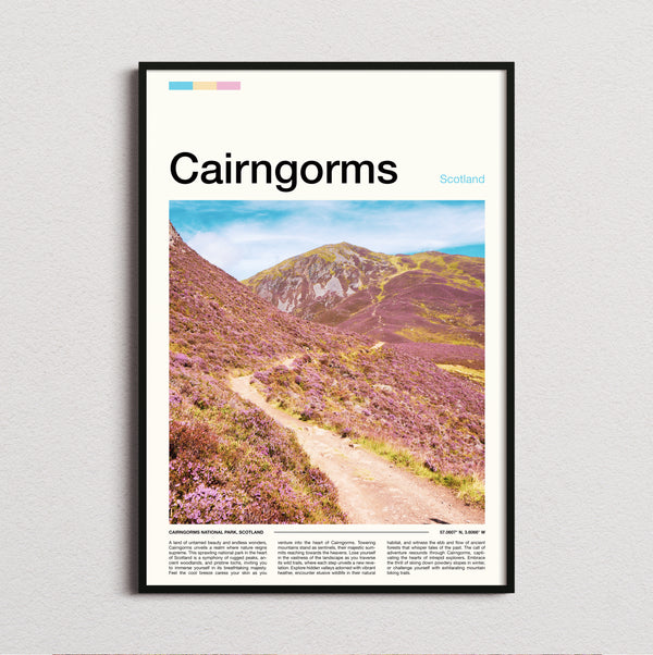 Cairngorms - Purple Heather Hillside - Travel Print