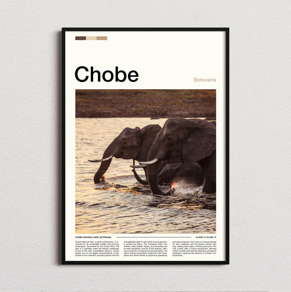 Chobe - Elephant In The River - Travel Print