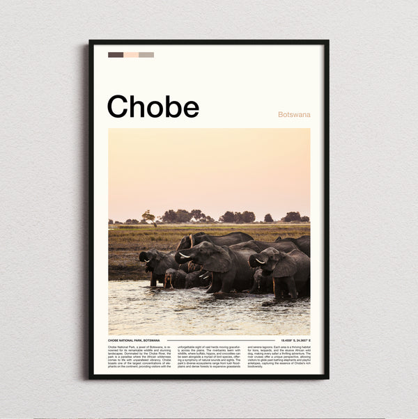 Chobe - Herd Of Elephants - Travel Print