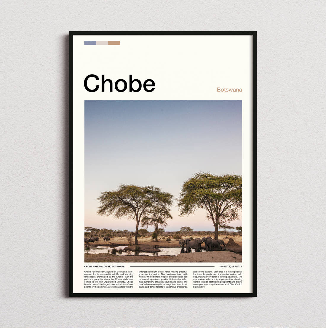 Chobe Acacia Trees On The Plain Travel Print framed and photographed straight on