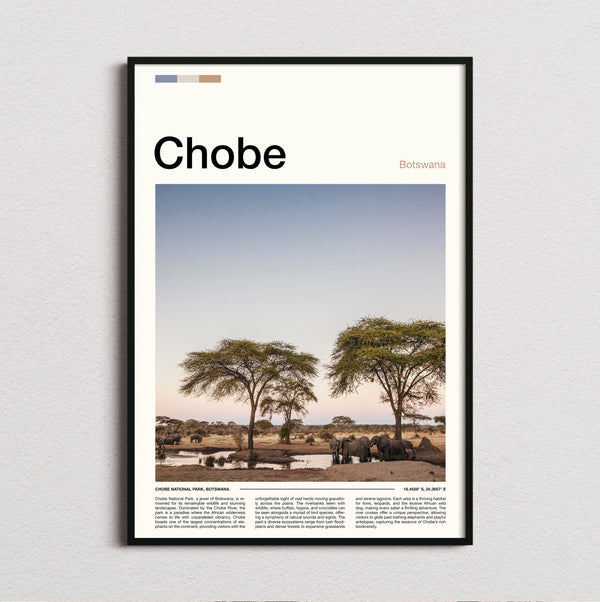 Chobe - Acacia Trees On The Plain - Travel Print