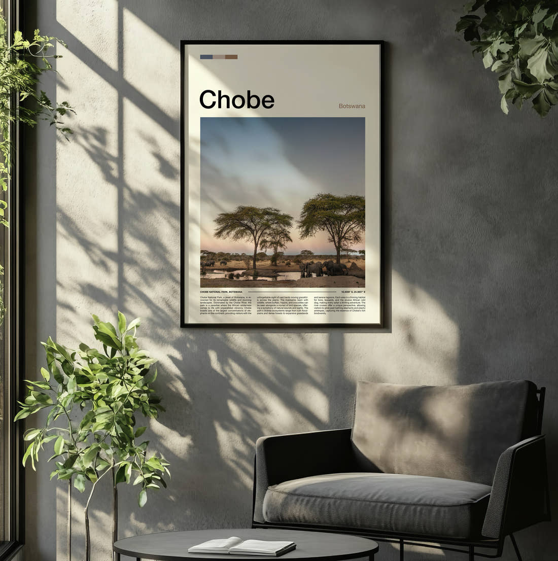 Chobe Acacia Trees On The Plain Travel Print framed on the wall of a relaxed living room