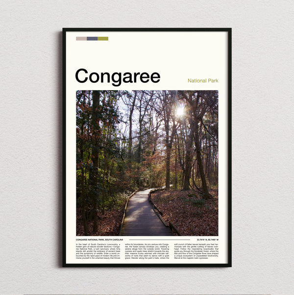 Congaree - Boardwalk Through The Forest - Travel Print