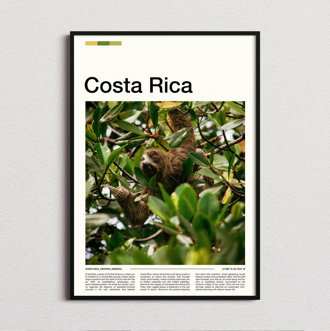 Costa Rica Sloth In A Tree Travel Print framed and photographed straight on
