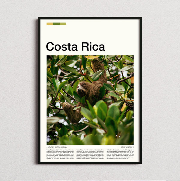 Costa Rica - Sloth In A Tree - Travel Print