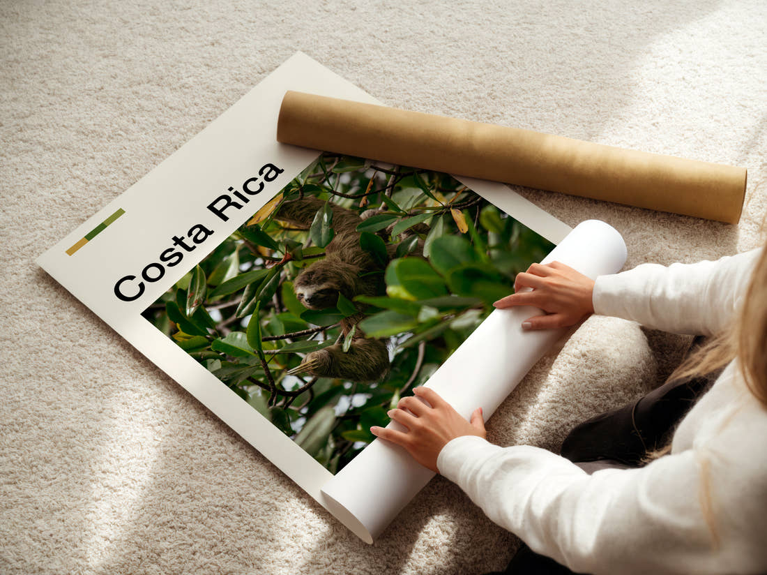 Costa Rica Sloth In A Tree Travel Print being unrolled from its postal tube
