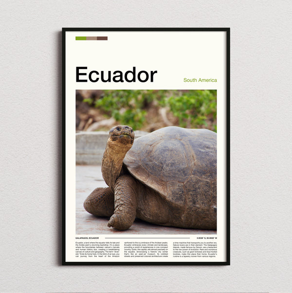 Ecuador - Giant Tortoise - Travel Print