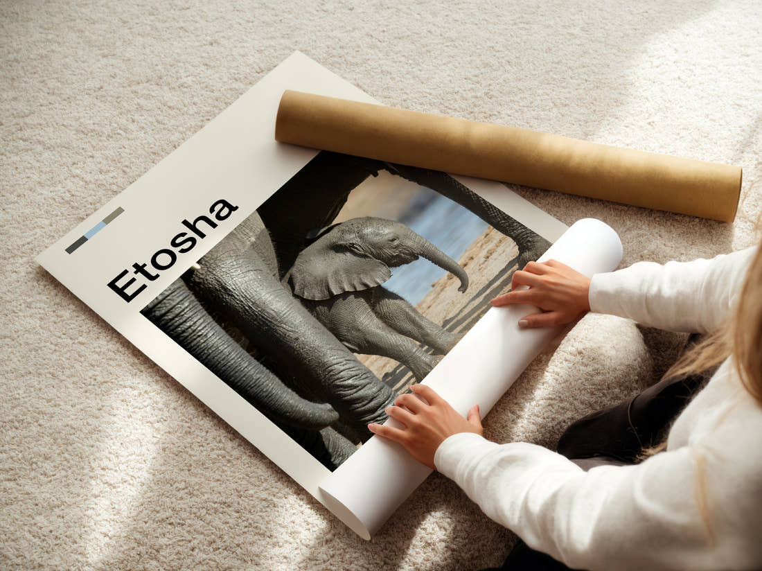 Etosha Baby Elephant Travel Print being unrolled from its postal tube