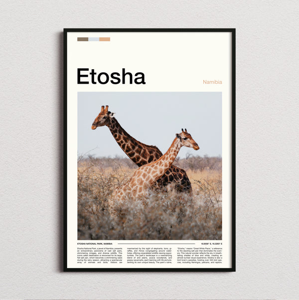 Etosha - Giraffes In The Grassland - Travel Print
