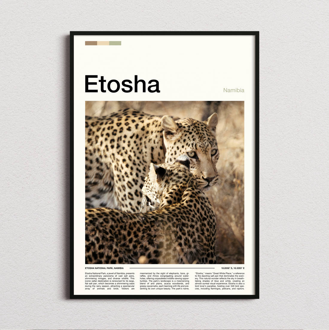 Etosha Two Leopards Travel Print framed and photographed straight on