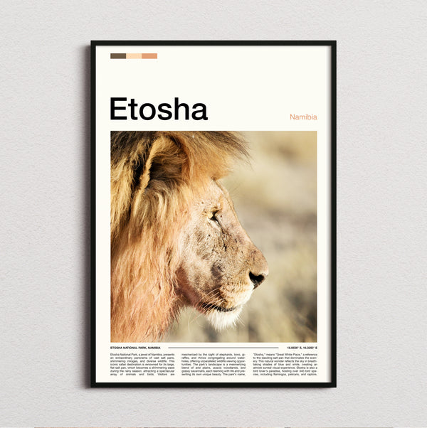 Etosha - Lion Portrait - Travel Print