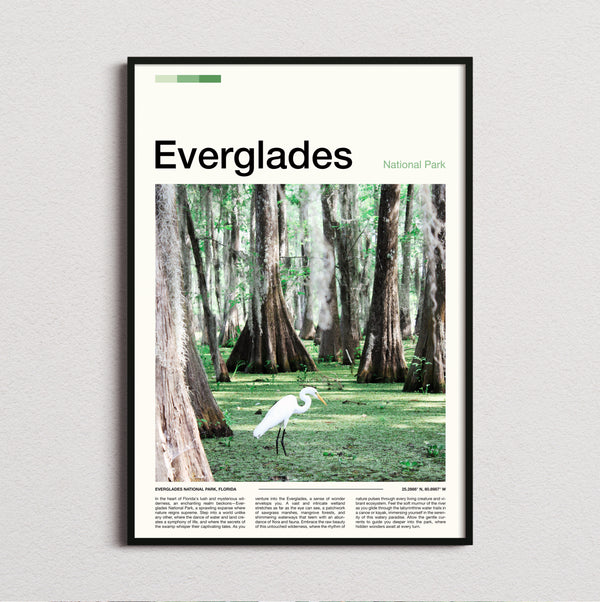 Everglades - White Egret - Travel Print