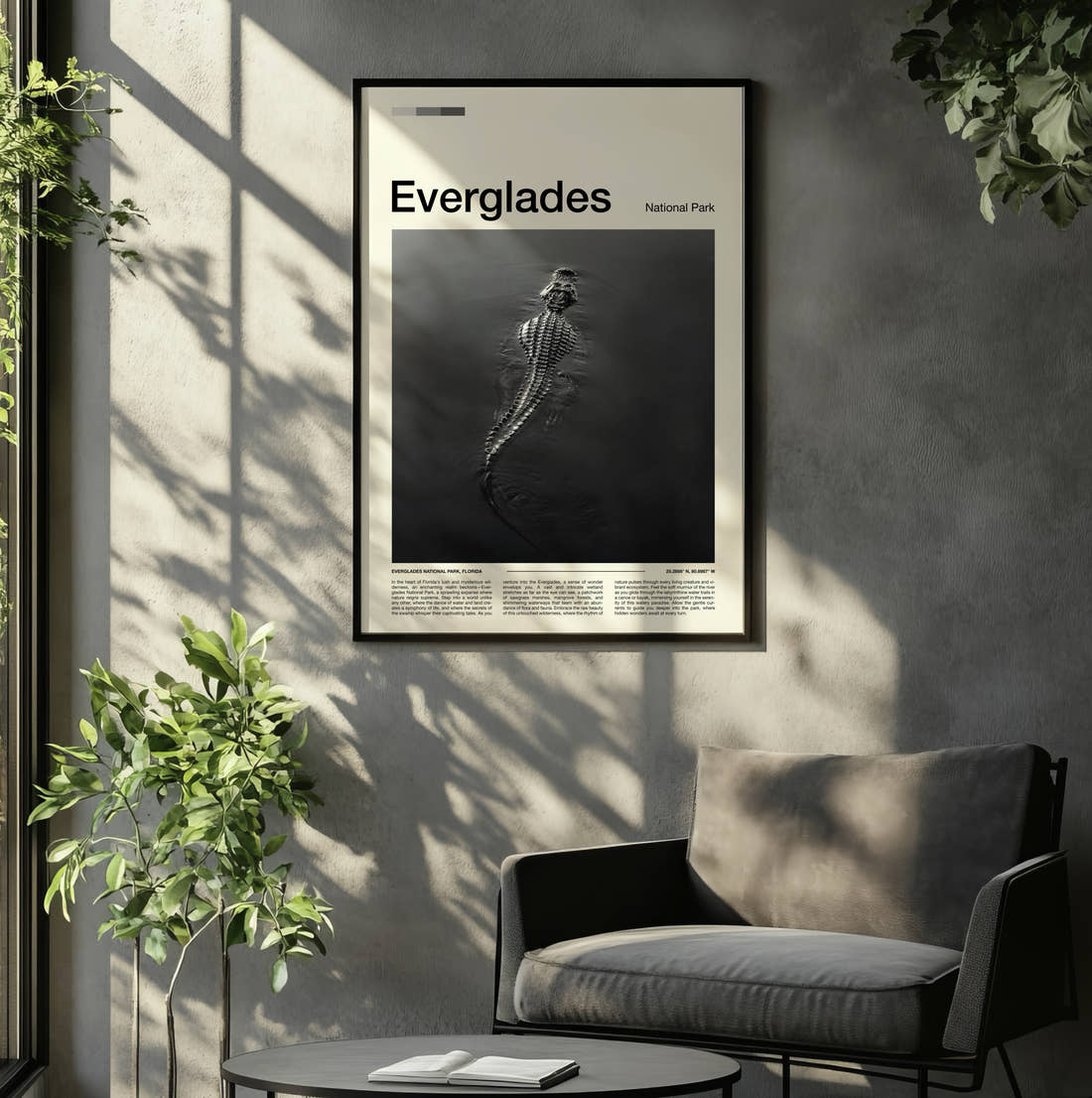 Everglades Alligator In The Water Travel Print framed on the wall of a relaxed living room