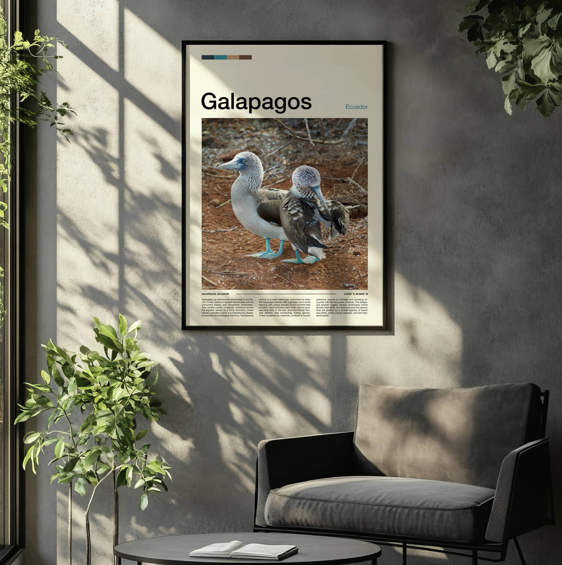 Galapagos Blue Footed Boobies Travel Print framed on the wall of a relaxed living room