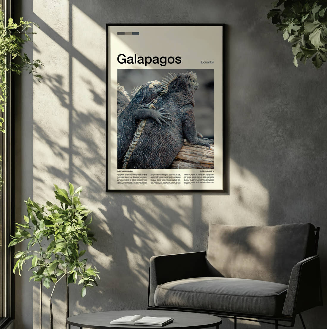 Galapagos Marine Iguanas Travel Print framed on the wall of a relaxed living room