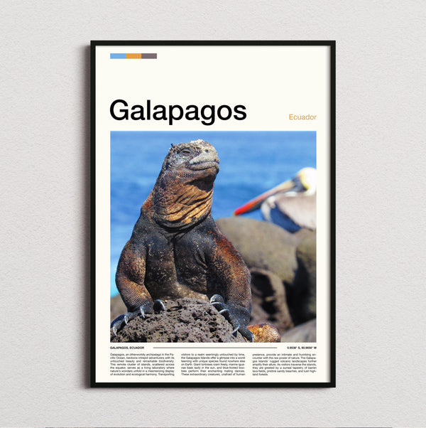 Galapagos - Marine Iguana - Travel Print