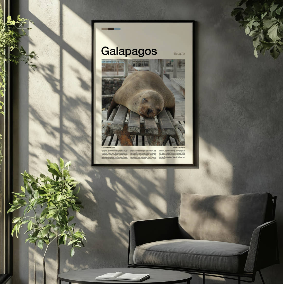 Galapagos Sleeping Sea Lion Travel Print framed on the wall of a relaxed living room