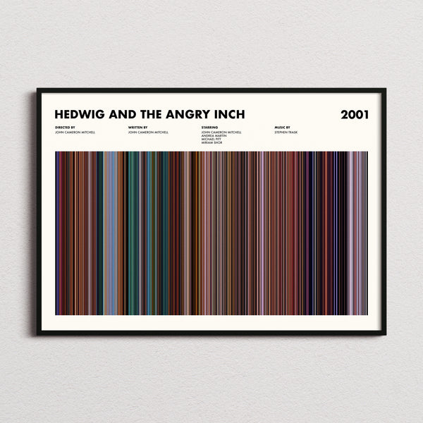Hedwig And The Angry Inch Movie Barcode Poster framed and photographed straight on